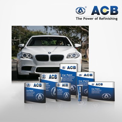 Auto Exterior Car Paint Store